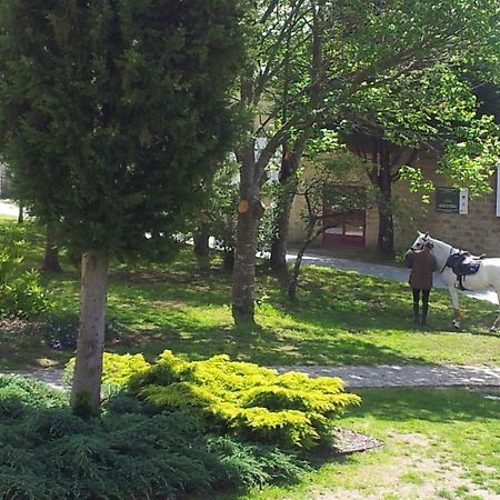 Alda Palas De Rei Exterior foto